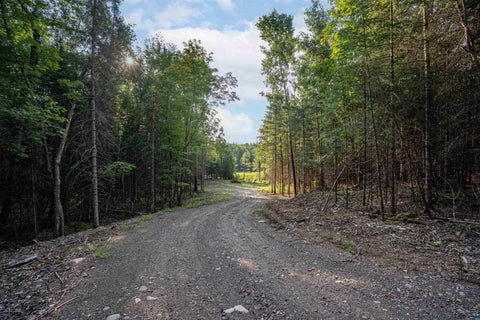 Tiny photo for TBD Otter River Rd, Duluth, MN 55803 (MLS # 6127411)
