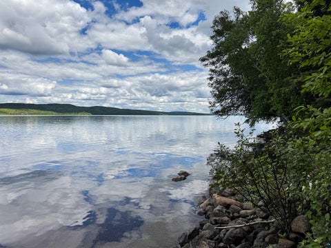 Tiny photo for 465 S Gunflint Lake, Grand Marais, MN 55604 (MLS # 6126929)
