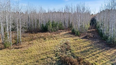 Tiny photo for 4017 Hwy 25, Iron, MN 55751 (MLS # 6122898)