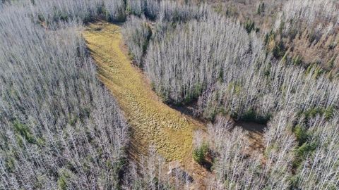 Tiny photo for 4017 Hwy 25, Iron, MN 55751 (MLS # 6122898)