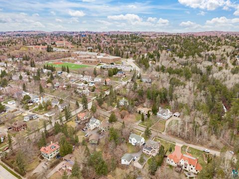 Tiny photo for 3130 E 1st St, Duluth, MN 55812 (MLS # 6125074)