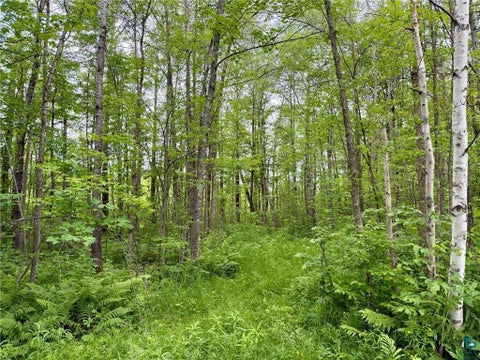 Tiny photo for 3799 County Rd 132, Kettle River, MN 55757 (MLS # 6126317)