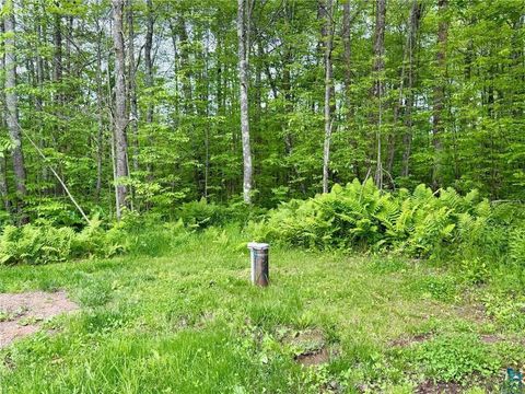 Tiny photo for 3799 County Rd 132, Kettle River, MN 55757 (MLS # 6126317)