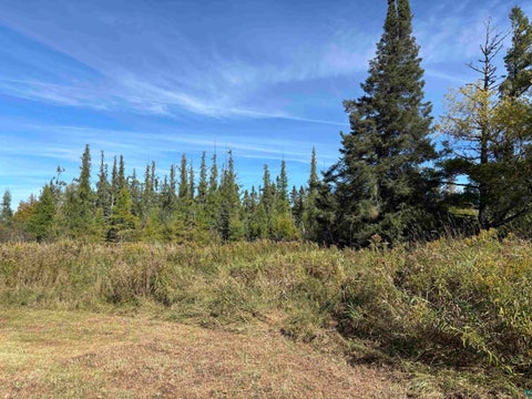 Tiny photo for 3363 County Rd 6, Barnum, MN 55707 (MLS # 6128354)