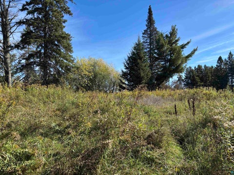 Tiny photo for 3363 County Rd 6, Barnum, MN 55707 (MLS # 6128354)