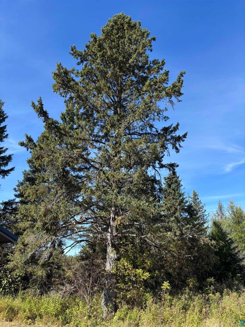 Tiny photo for 3363 County Rd 6, Barnum, MN 55707 (MLS # 6128354)