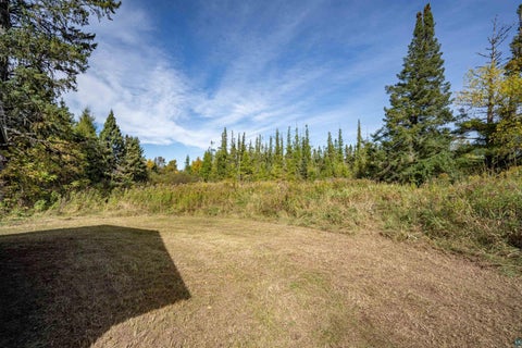 Tiny photo for 3363 County Rd 6, Barnum, MN 55707 (MLS # 6128354)