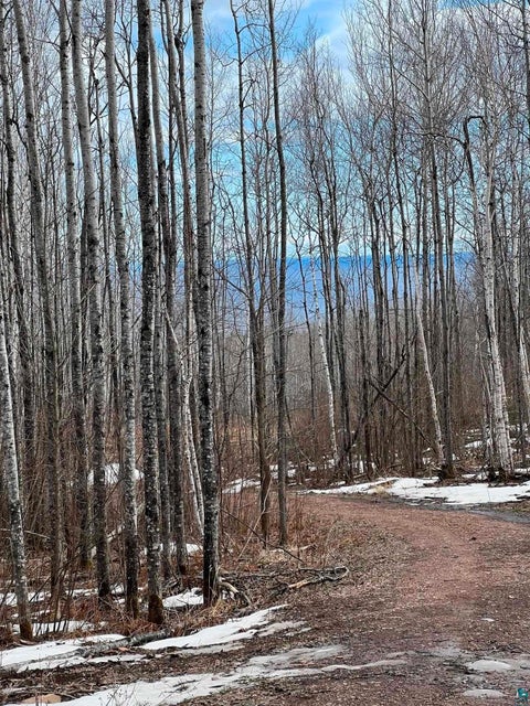 Tiny photo for XX Bally Creek Rd, Grand Marais, MN 55604 (MLS # 6127817)