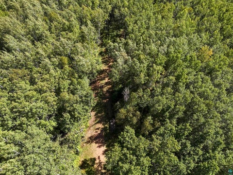 Tiny photo for XX Bally Creek Rd, Grand Marais, MN 55604 (MLS # 6127817)