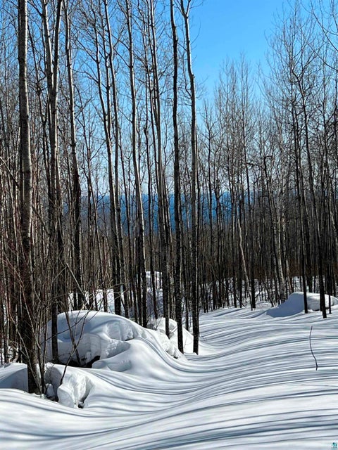 Tiny photo for XX Bally Creek Rd, Grand Marais, MN 55604 (MLS # 6127817)