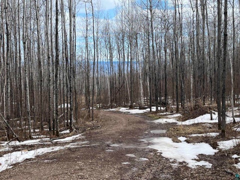 Tiny photo for XX Bally Creek Rd, Grand Marais, MN 55604 (MLS # 6127817)