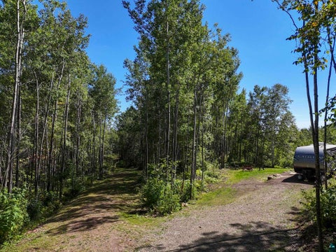 Tiny photo for XX Bally Creek Rd, Grand Marais, MN 55604 (MLS # 6127817)