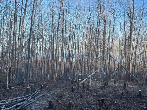 Tiny photo for XX Bally Creek Rd, Grand Marais, MN 55604 (MLS # 6127817)