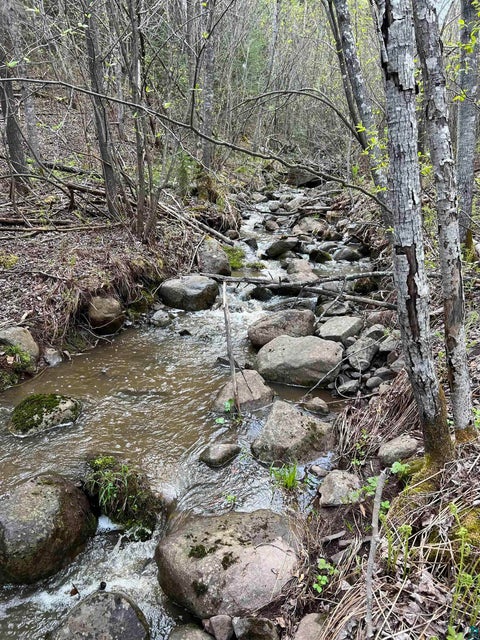 Tiny photo for XX Bally Creek Rd, Grand Marais, MN 55604 (MLS # 6127817)