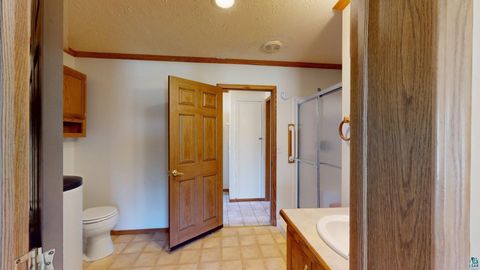 Tiny photo for 10676 Hillcrest Dr, Orr, MN 55771 (MLS # 6125587)