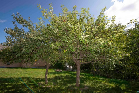 Tiny photo for 419 2nd Ave W AVE, Grand Marais, MN 55604 (MLS # 6127985)