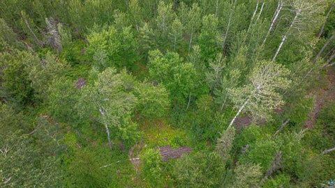 Tiny photo for TBD Black Bear Tr, Ely, MN 55731 (MLS # 6126986)
