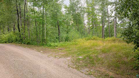Tiny photo for TBD Black Bear Tr, Ely, MN 55731 (MLS # 6126986)