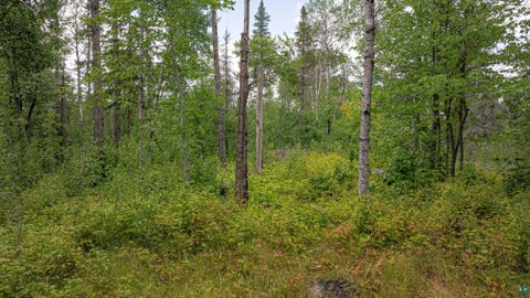 Tiny photo for TBD Black Bear Tr, Ely, MN 55731 (MLS # 6126986)