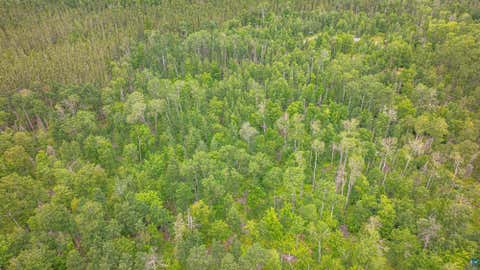 Tiny photo for TBD Black Bear Tr, Ely, MN 55731 (MLS # 6126986)