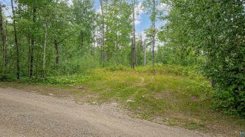 Tiny photo for TBD Black Bear Tr, Ely, MN 55731 (MLS # 6126986)