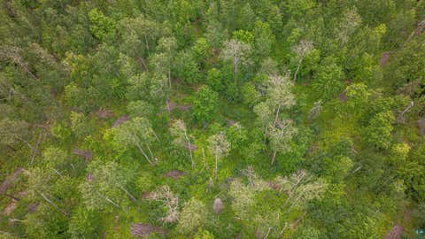 Tiny photo for TBD Black Bear Tr, Ely, MN 55731 (MLS # 6126986)