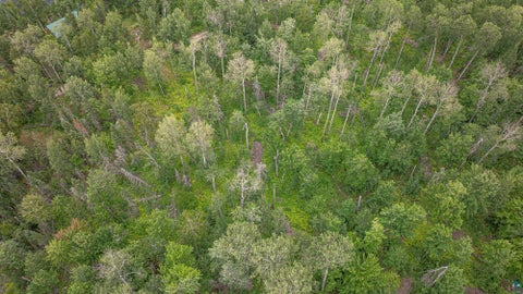 Tiny photo for TBD Black Bear Tr, Ely, MN 55731 (MLS # 6126986)