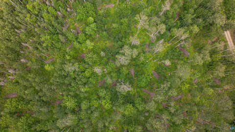 Tiny photo for TBD Black Bear Tr, Ely, MN 55731 (MLS # 6126986)