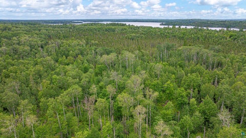 Tiny photo for TBD Black Bear Tr, Ely, MN 55731 (MLS # 6126986)