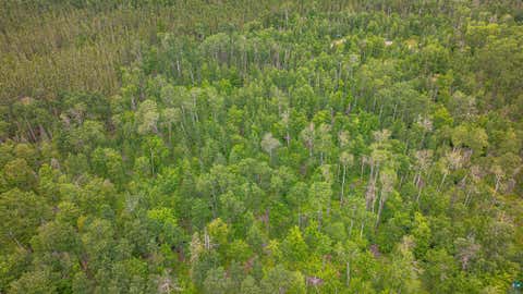 Tiny photo for TBD Black Bear Tr, Ely, MN 55731 (MLS # 6126986)