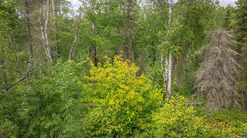 Tiny photo for TBD Black Bear Tr, Ely, MN 55731 (MLS # 6126986)