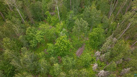 Tiny photo for TBD Black Bear Tr, Ely, MN 55731 (MLS # 6126986)
