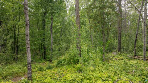 Tiny photo for TBD Black Bear Tr, Ely, MN 55731 (MLS # 6126986)