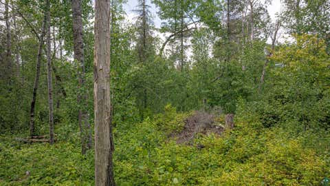 Tiny photo for TBD Black Bear Tr, Ely, MN 55731 (MLS # 6126986)