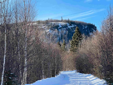 Tiny photo for 118 Rollins Ridge, Tofte, MN 55615 (MLS # 6128227)