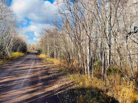 Tiny photo for 118 Rollins Ridge, Tofte, MN 55615 (MLS # 6128227)
