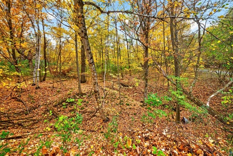 Tiny photo for 2870 218th Street, Luck, WI 54006 (MLS # 6128364)