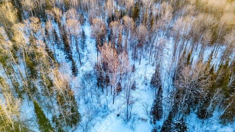 Tiny photo for TBD South Ave, Aurora, MN 55705 (MLS # 6123457)