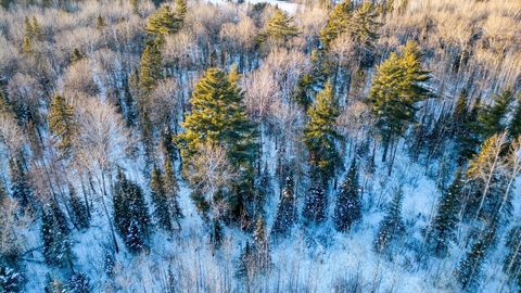 Tiny photo for TBD South Ave, Aurora, MN 55705 (MLS # 6123457)