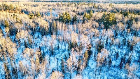 Tiny photo for TBD South Ave, Aurora, MN 55705 (MLS # 6123457)