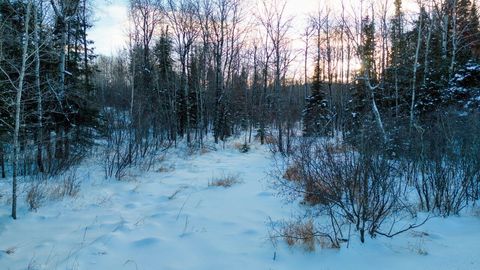 Tiny photo for TBD South Ave, Aurora, MN 55705 (MLS # 6123457)