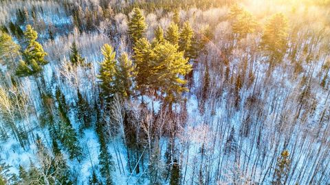 Tiny photo for TBD South Ave, Aurora, MN 55705 (MLS # 6123457)