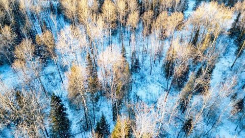 Tiny photo for TBD South Ave, Aurora, MN 55705 (MLS # 6123457)