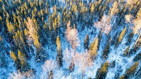 Tiny photo for TBD South Ave, Aurora, MN 55705 (MLS # 6123457)