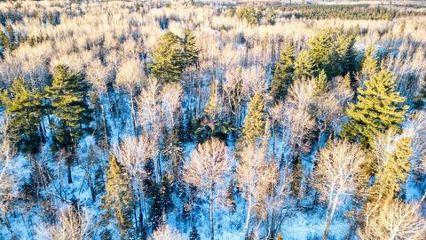 Tiny photo for TBD South Ave, Aurora, MN 55705 (MLS # 6123457)