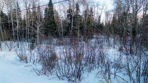 Tiny photo for TBD South Ave, Aurora, MN 55705 (MLS # 6123457)