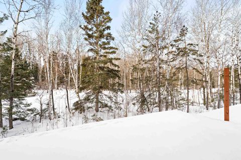 Tiny photo for 3725 London Rd #12, Duluth, MN 55804 (MLS # 6122728)