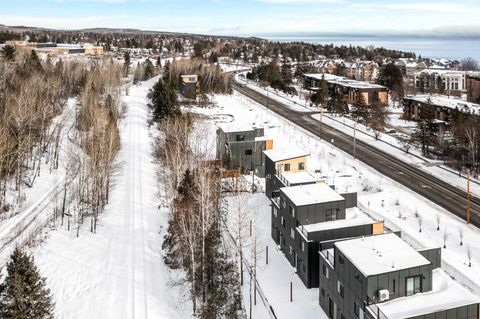 Tiny photo for 3725 London Rd #12, Duluth, MN 55804 (MLS # 6122728)