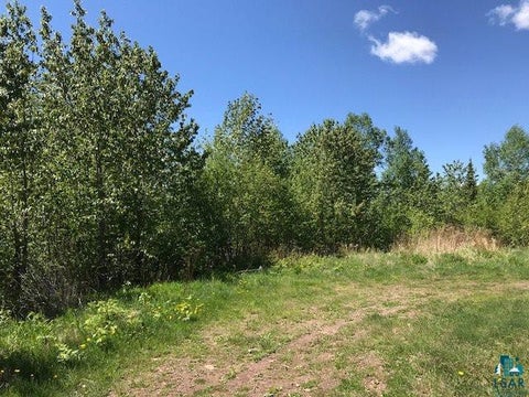 Tiny photo for XX W 5th St, Grand Marais, MN 55604 (MLS # 6128303)