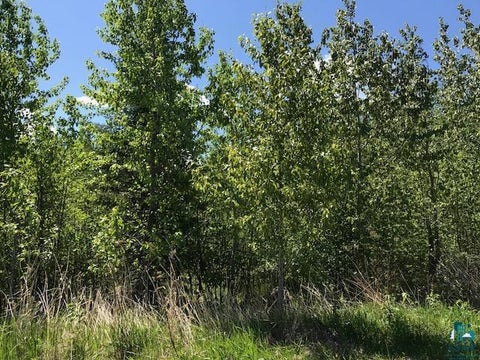 Tiny photo for XX W 5th St, Grand Marais, MN 55604 (MLS # 6128303)